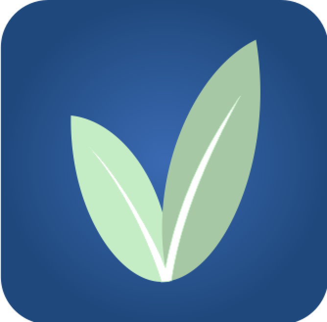 Salvus - Icon blue green
