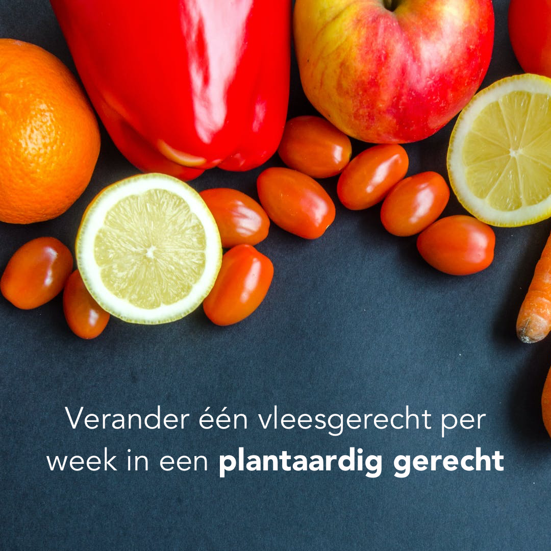 Gezond eten 2