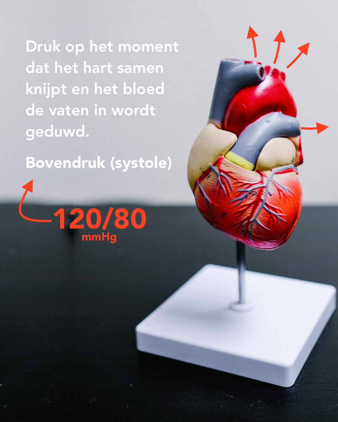 FB - Bloeddruk 3