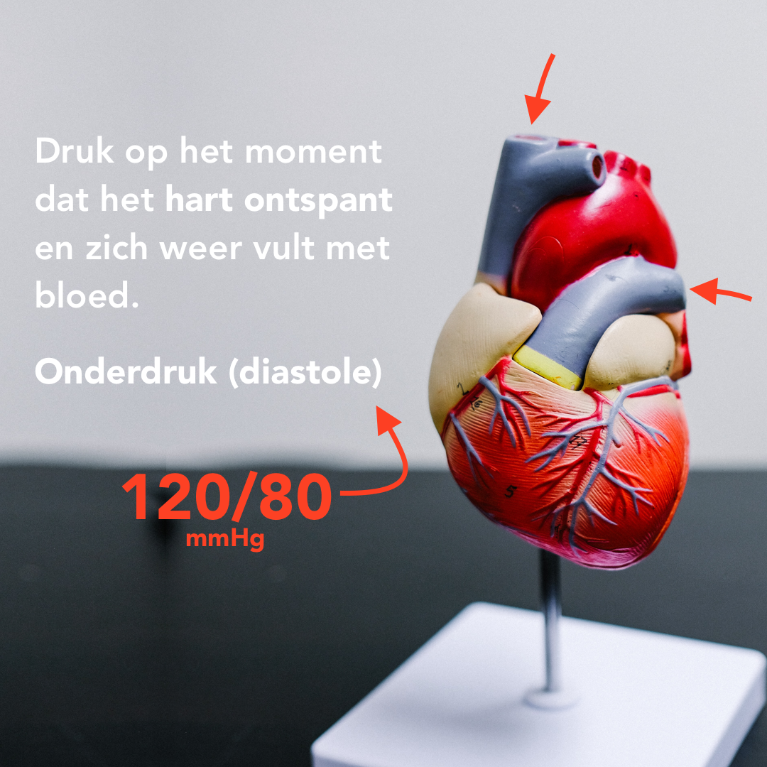 INSTA - Bloeddruk 4